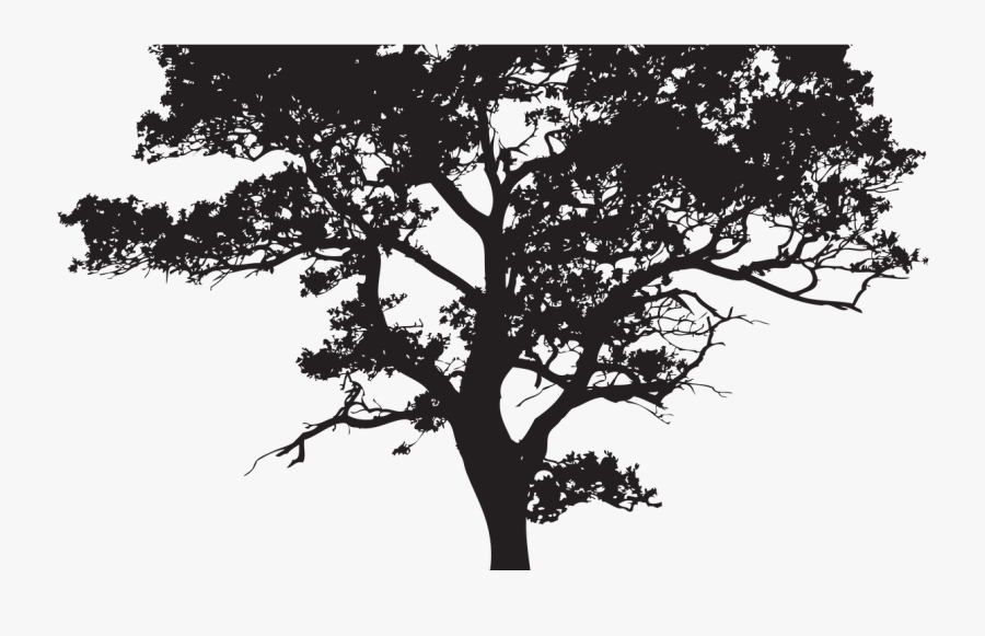 Transparent Wood Sign Clipart Png - Clip Art Tree Black And White, Transparent Clipart