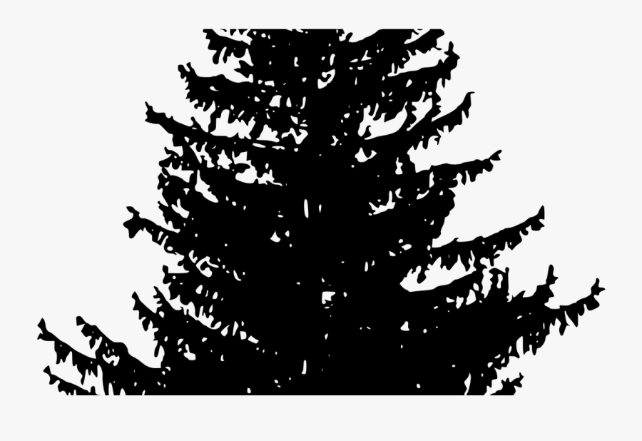 Transparent Woods Silhouette Png - Vector Pine Tree Png, Transparent Clipart
