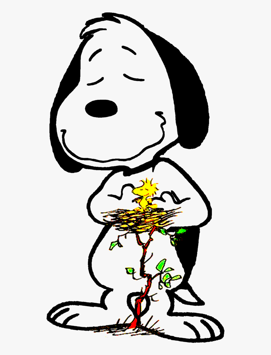 O Grande Amigo E Protetor Do Woodstock By Bradsnoopy97 - Meu Coração Bate Por Você, Transparent Clipart