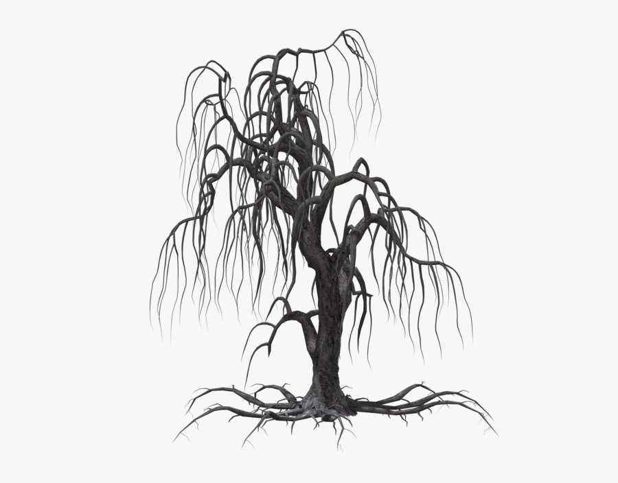 Woods Clipart - Black Creepy Tree Drawing, Transparent Clipart