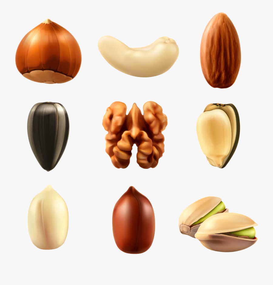 Nuts Collection Png Clipar Image - Nuts Png, Transparent Clipart