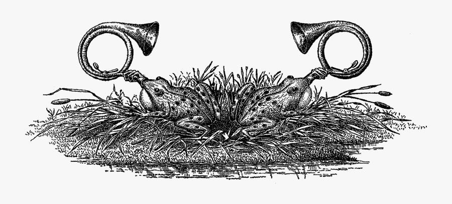 The Third Digital Decorative Border Image Is Designed - Drawing, Transparent Clipart