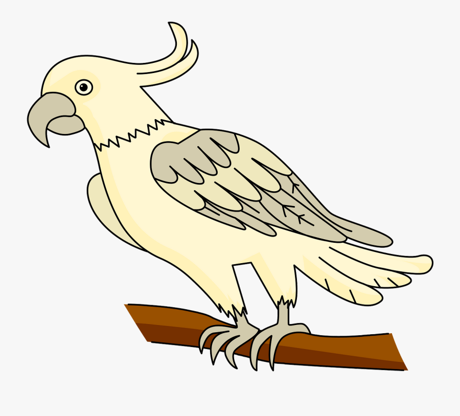 Sulphur-crested Cockatoo, Transparent Clipart