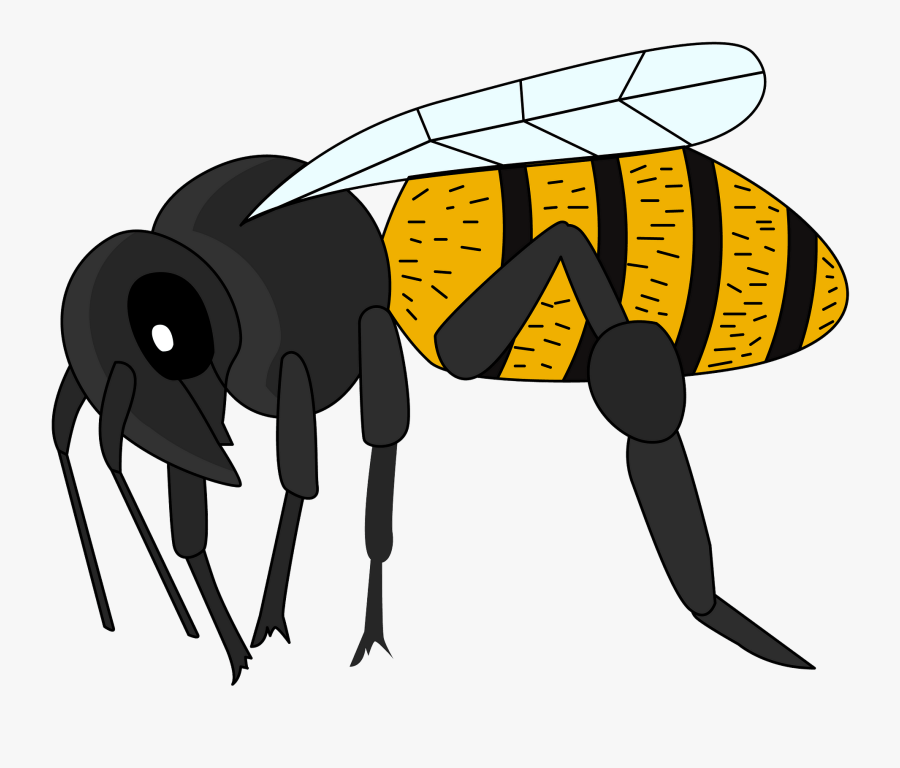 Bumblebee, Transparent Clipart