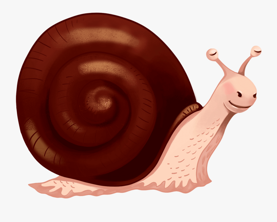 Snail, Transparent Clipart