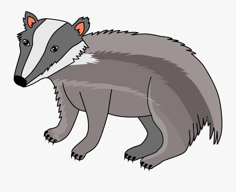 Tasmanian Devil, Transparent Clipart