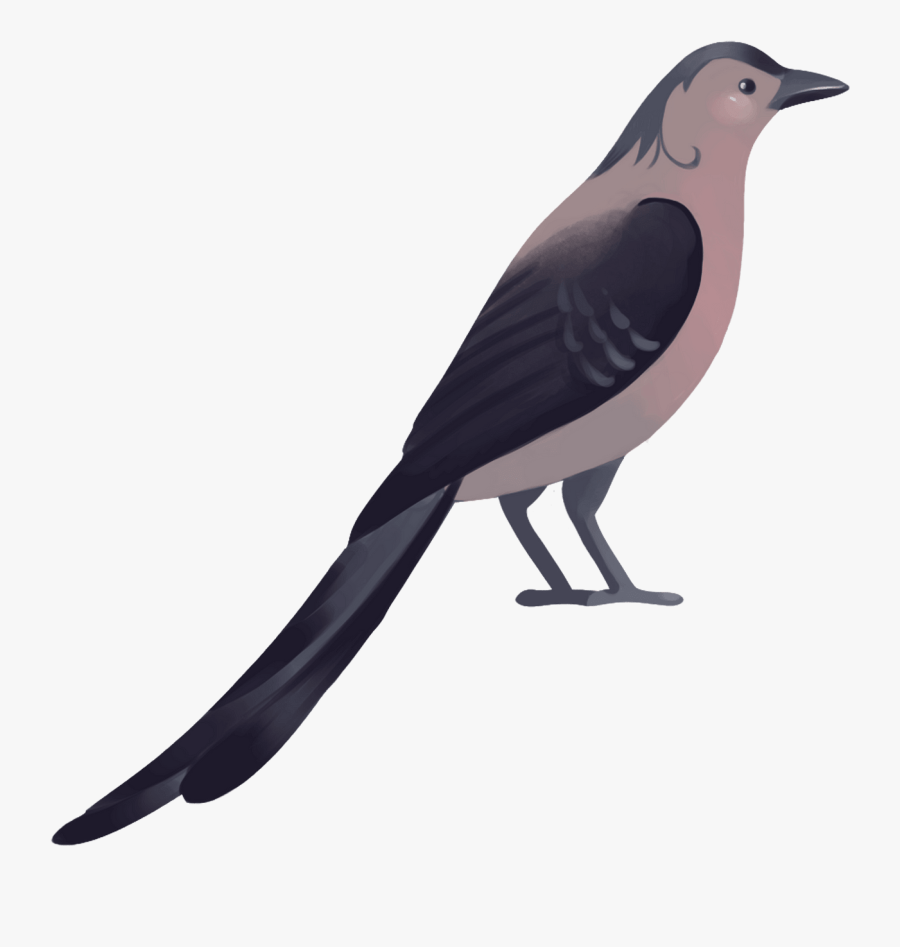 Perching Bird, Transparent Clipart
