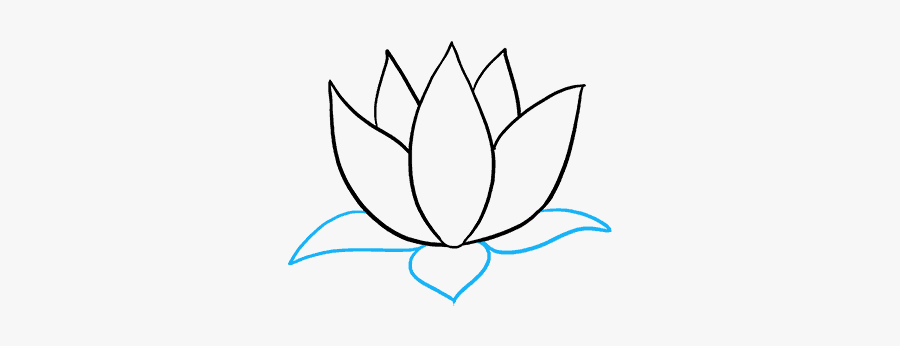 How To Draw A Lotus Flower - Sacred Lotus, Transparent Clipart