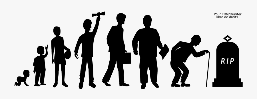 Stages Of Life Png, Transparent Clipart