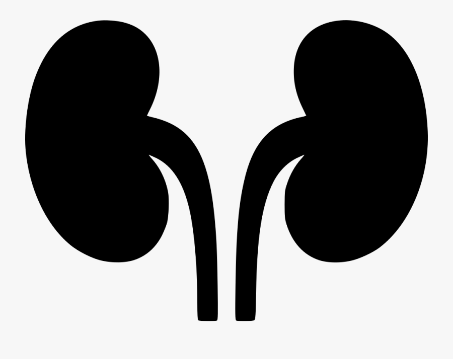 Kidneys Svg Png Icon - Clipart Kidney Png, Transparent Clipart