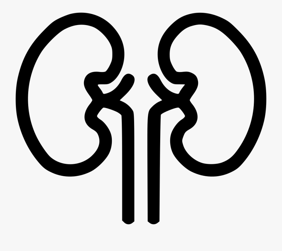 Organ Health Medical Renal - Kidney Clipart Black And White, Transparent Clipart