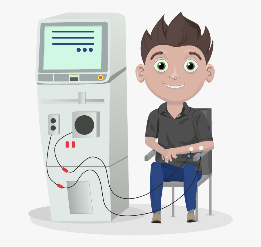 Kidney, Transparent Clipart