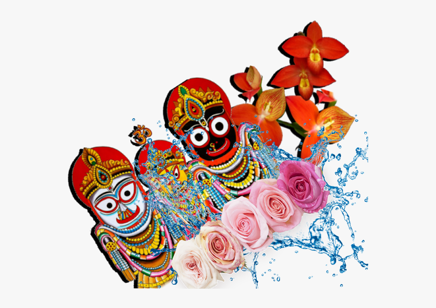 Garden Roses, Transparent Clipart