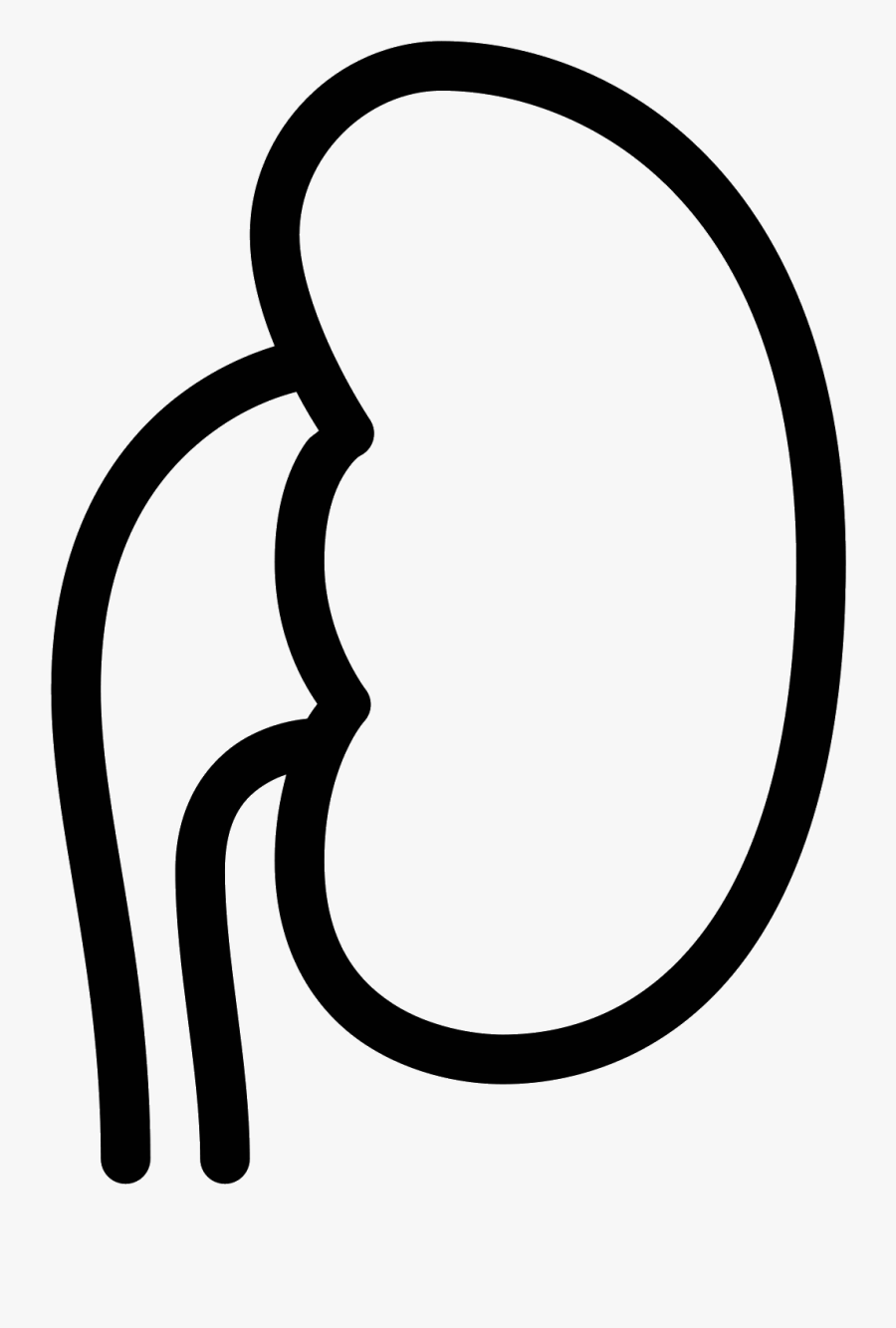 Kidney Clipart Human Kidney - Icono Riñon Png, Transparent Clipart