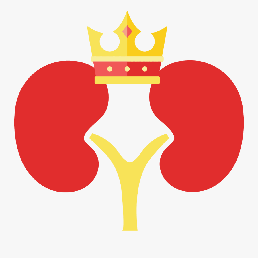 Transparent Kidney Png - King Kidney, Transparent Clipart