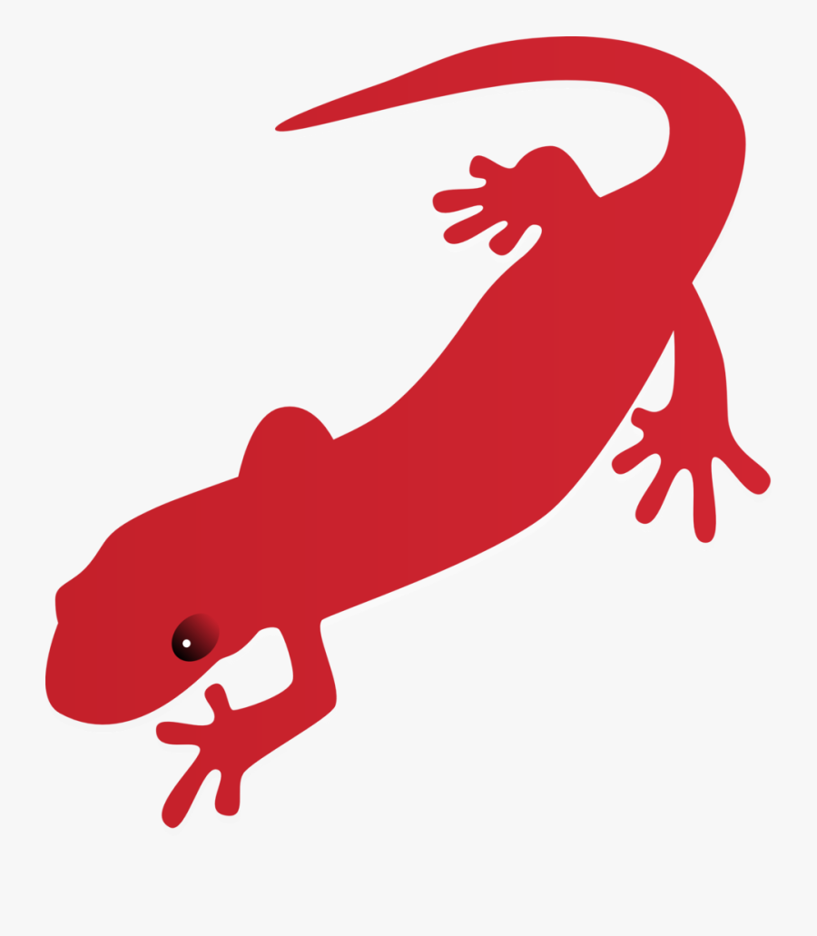 Salamander Clipart, Transparent Clipart