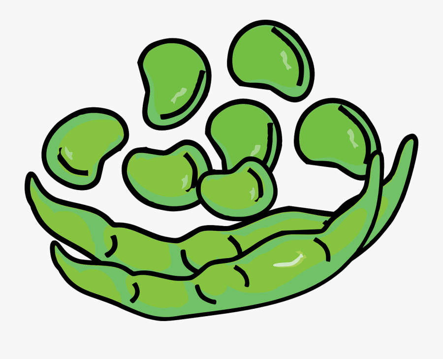 Clip Art Kidney Beans Clip Art - Fava Bean Clipart, Transparent Clipart