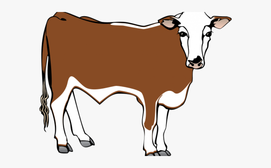 Transparent Cow Vector Png - Colouring Page Of A Cow, Transparent Clipart
