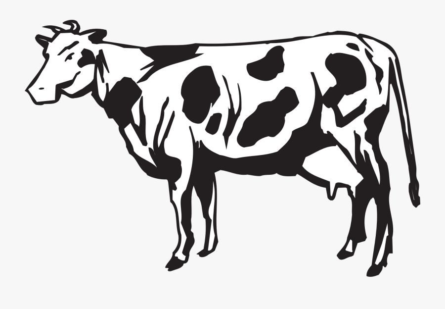 Gambar Lembu Hitam Putih