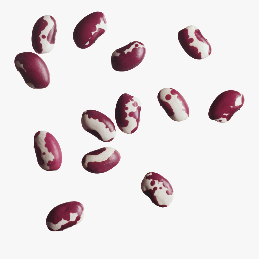 Kidney Beans Png - Anasazi Beans, Transparent Clipart