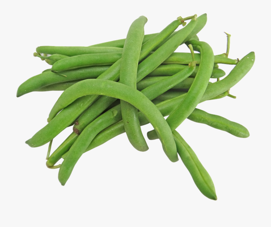 Free Green Image Vector - Beans Png, Transparent Clipart