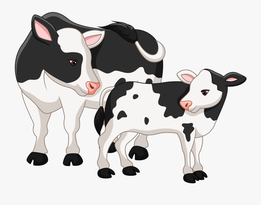 Clip Art Operation Angus Cattle Clip - Cow And Calf Clipart, Transparent Clipart