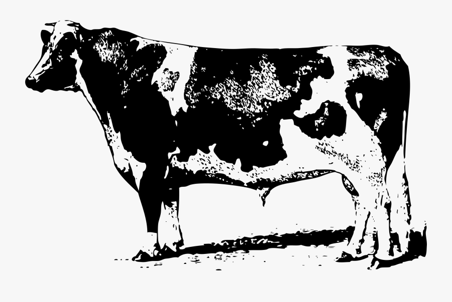 Cattle, Transparent Clipart