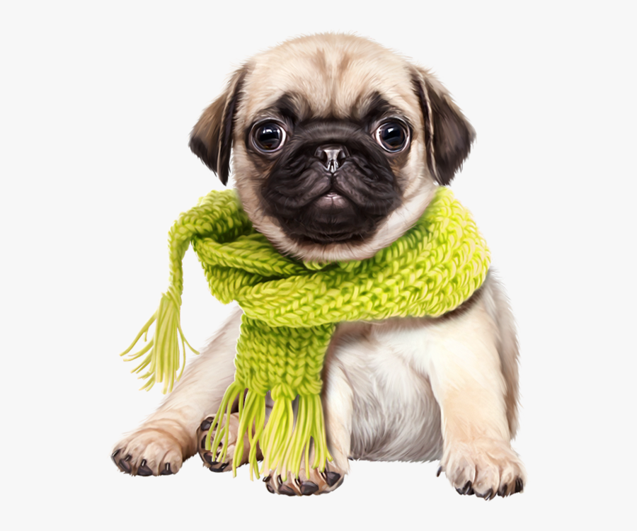 Dog Wearing Clothes Clipart - Pug Png, Transparent Clipart