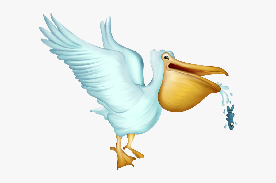 Pelican Png Free Download - Pelican Cartoon Png, Transparent Clipart