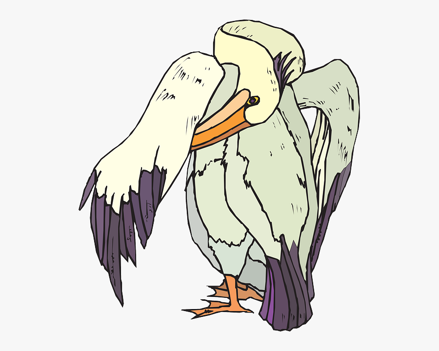 Birds Vector, Transparent Clipart