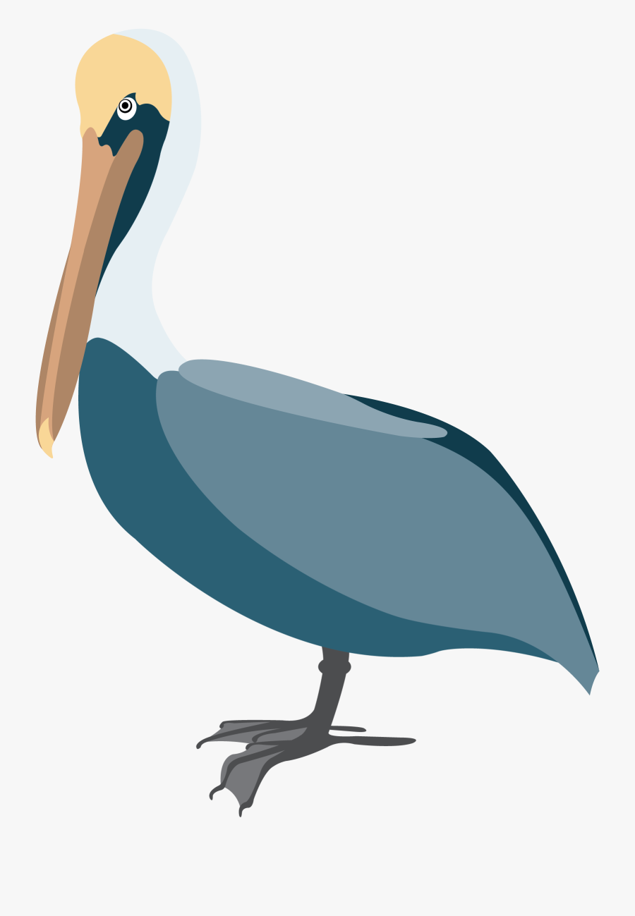 Pelican Vector Clip Art - Pelican Clipart, Transparent Clipart