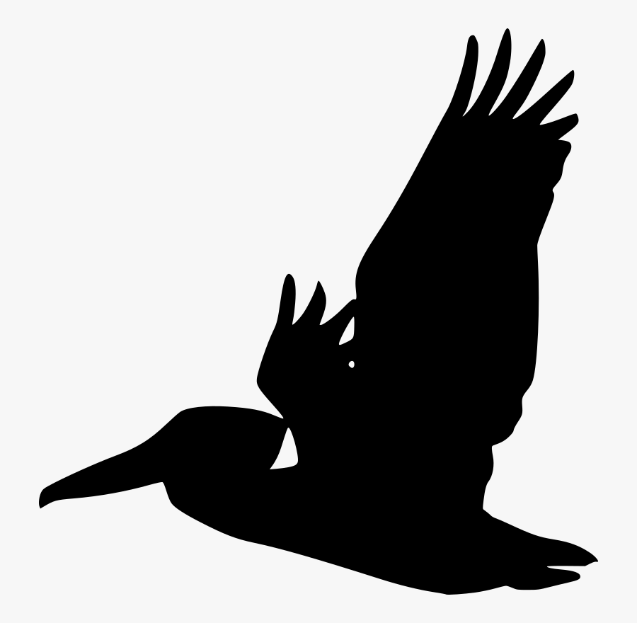 Pelican Silhouette, Transparent Clipart