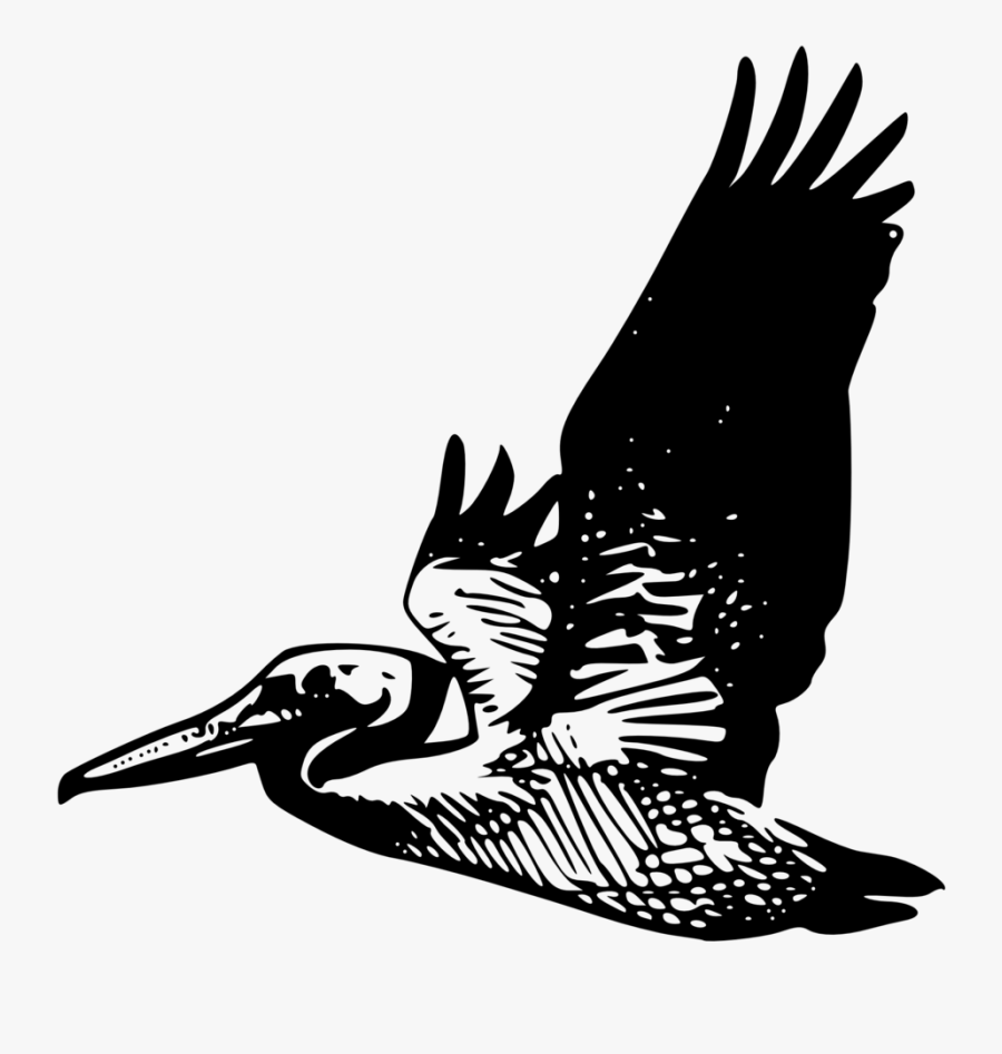 Pelican Clip Art - Pelican Silhouette, Transparent Clipart
