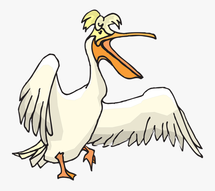 Seabird Pouch Pelecanus Free - Pelican Clipart Png, Transparent Clipart
