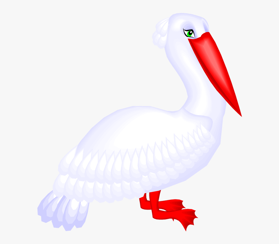 Pelican Clipart Cute - Ciconiiformes, Transparent Clipart