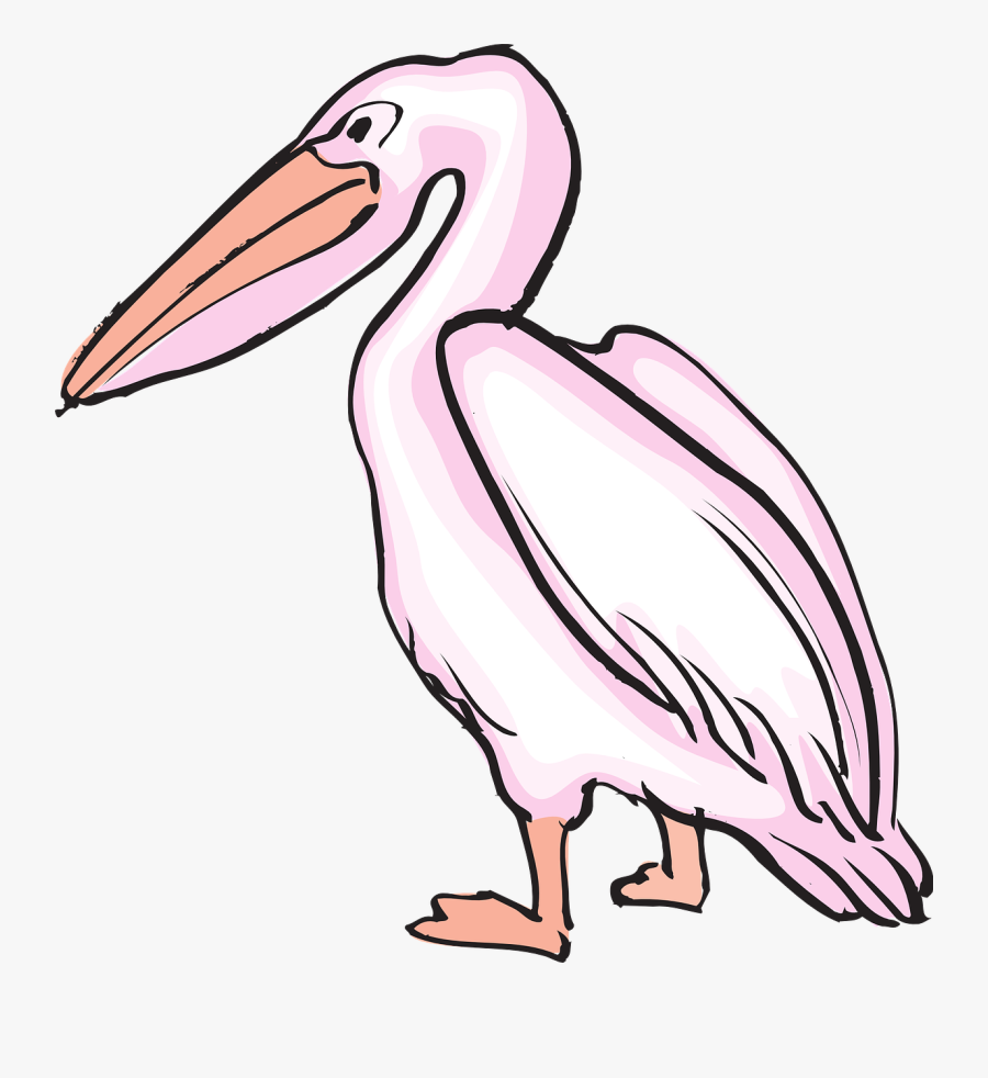 Clipart Pelican, Transparent Clipart