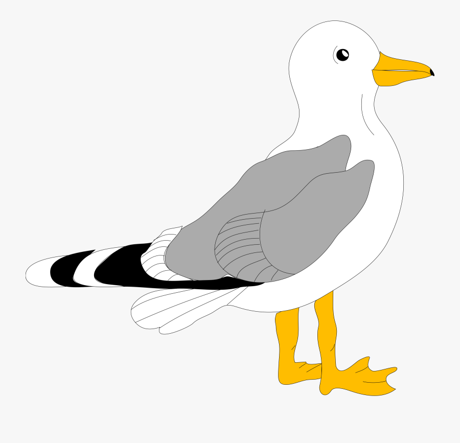 Pelican Svg Clip Arts - Seagull Clipart, Transparent Clipart