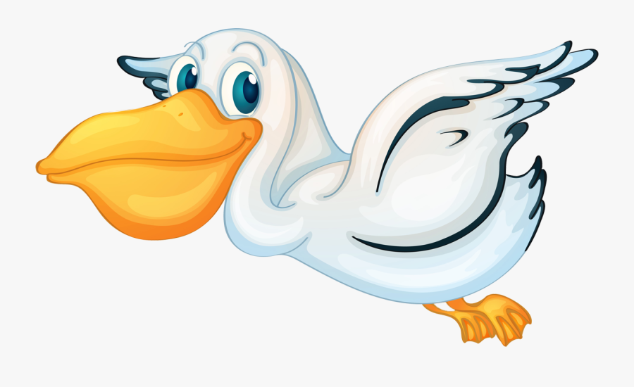 Pelican Png - Clipart Pelican Transparent Background, Transparent Clipart