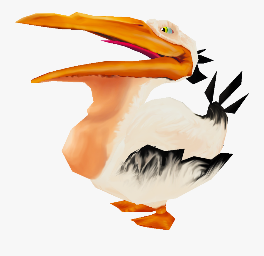 Marine Creature Pelican - Ciconiiformes, Transparent Clipart