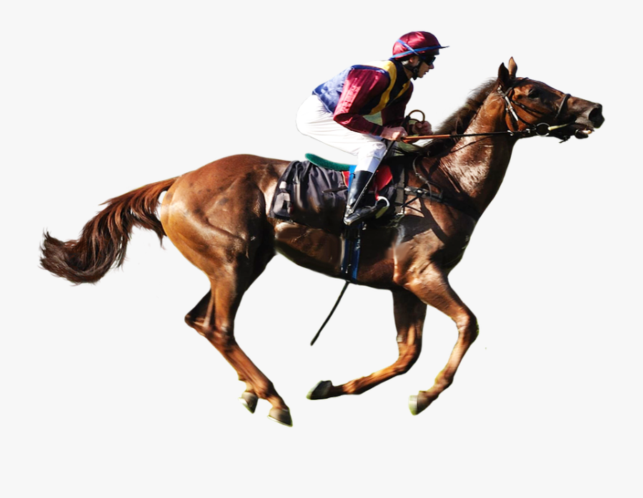 Horse Racing Transparent Background, Transparent Clipart