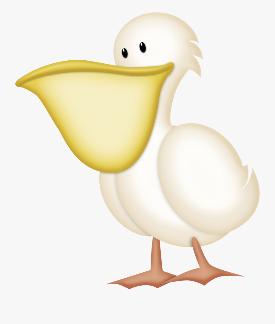 Baby Pelican Clip Art, Transparent Clipart