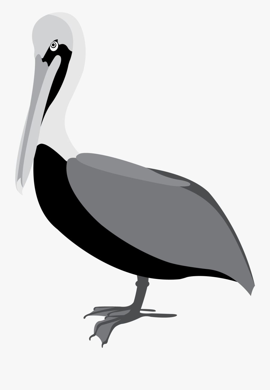 Transparent Peregrine Falcon Png - Pelican Clipart, Transparent Clipart