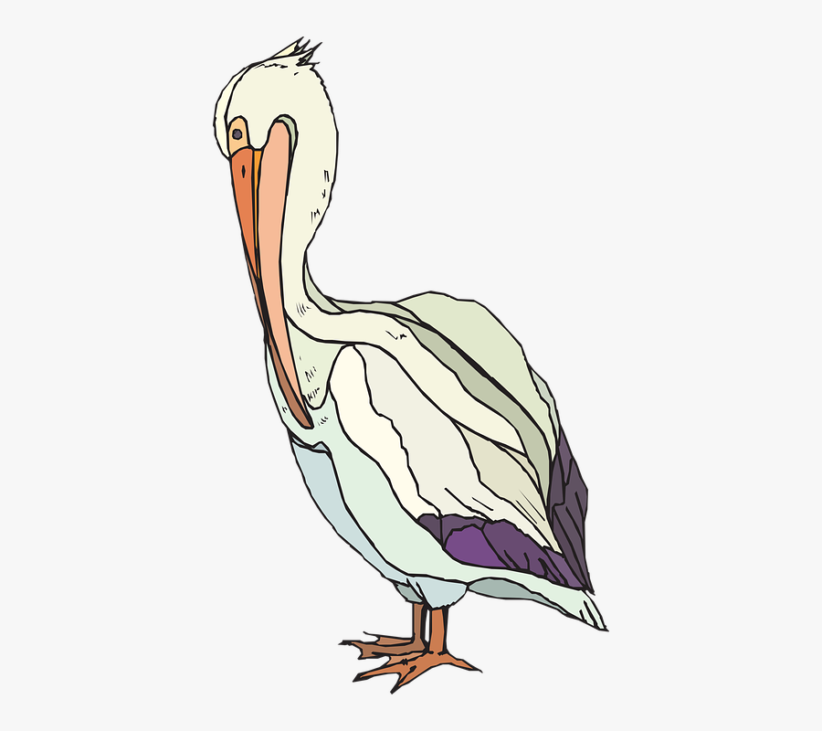 Transparent Pelican Clipart Black And White - Pelican Clip Art, Transparent Clipart