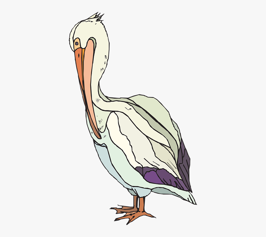 Transparent Pelican Clipart Black And White - Pelican Clip Art , Free