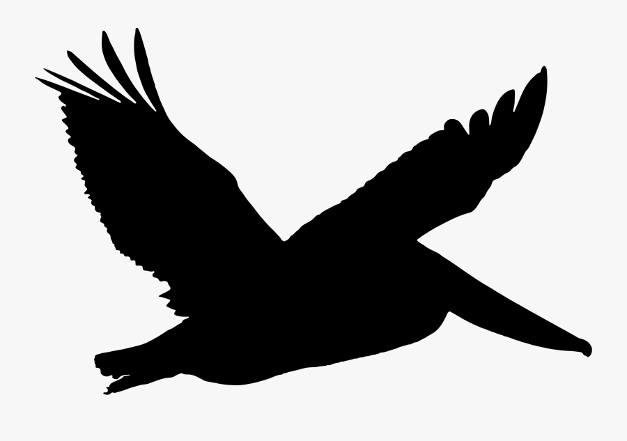 Silhouette,kite,wing - Pelican Silhouette Png, Transparent Clipart