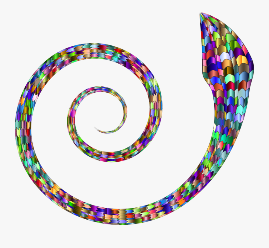 Circle,line,snakes - Snake Spiral Png, Transparent Clipart