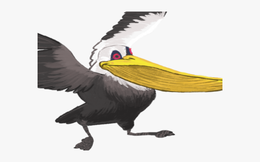 Pelican Clipart Transparent - Hornbill, Transparent Clipart