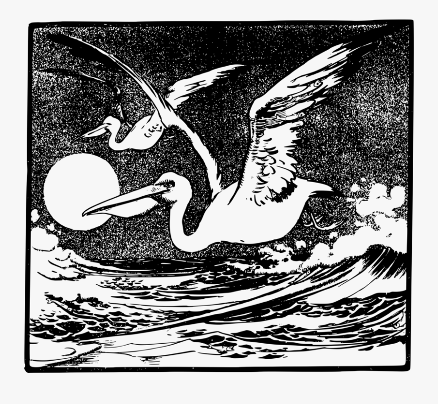 Art,monochrome Photography,beak - Clipart Pelikan Im Flug, Transparent Clipart