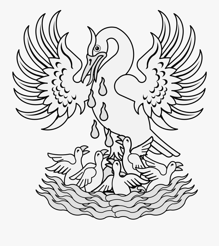 Drawing Pelican In Her Piety, Transparent Clipart