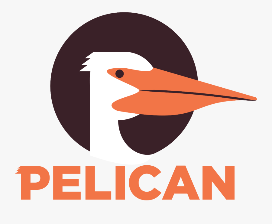 Transparent Pelican Png - Illustration, Transparent Clipart